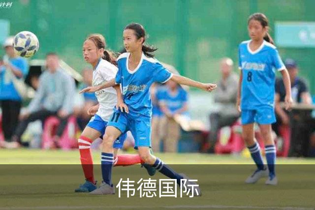 伟德国际团队与办公环境