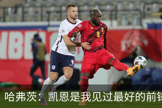 哈弗茨：凯恩是我见过最好的前锋之一；谁进球并不重要