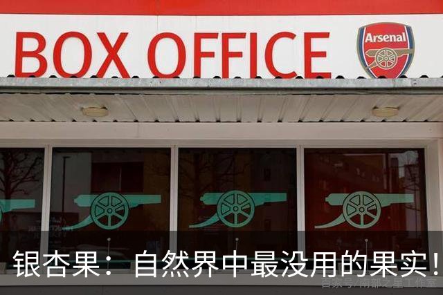 银杏果：自然界中最没用的果实！结果再多也一样沦为保护植物